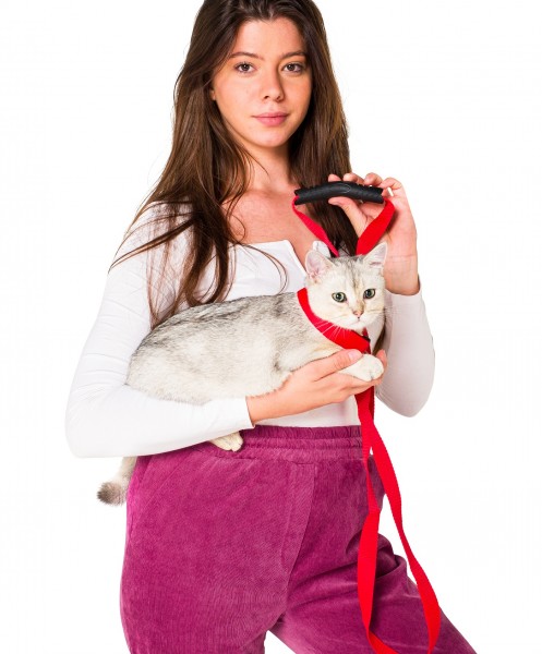 Kırmızı Kedi Tasması Sevk Kayışı Set Premium Kalite Kopma Yapmaz Kolon Kumaş El Acıtmaz Önleyici
